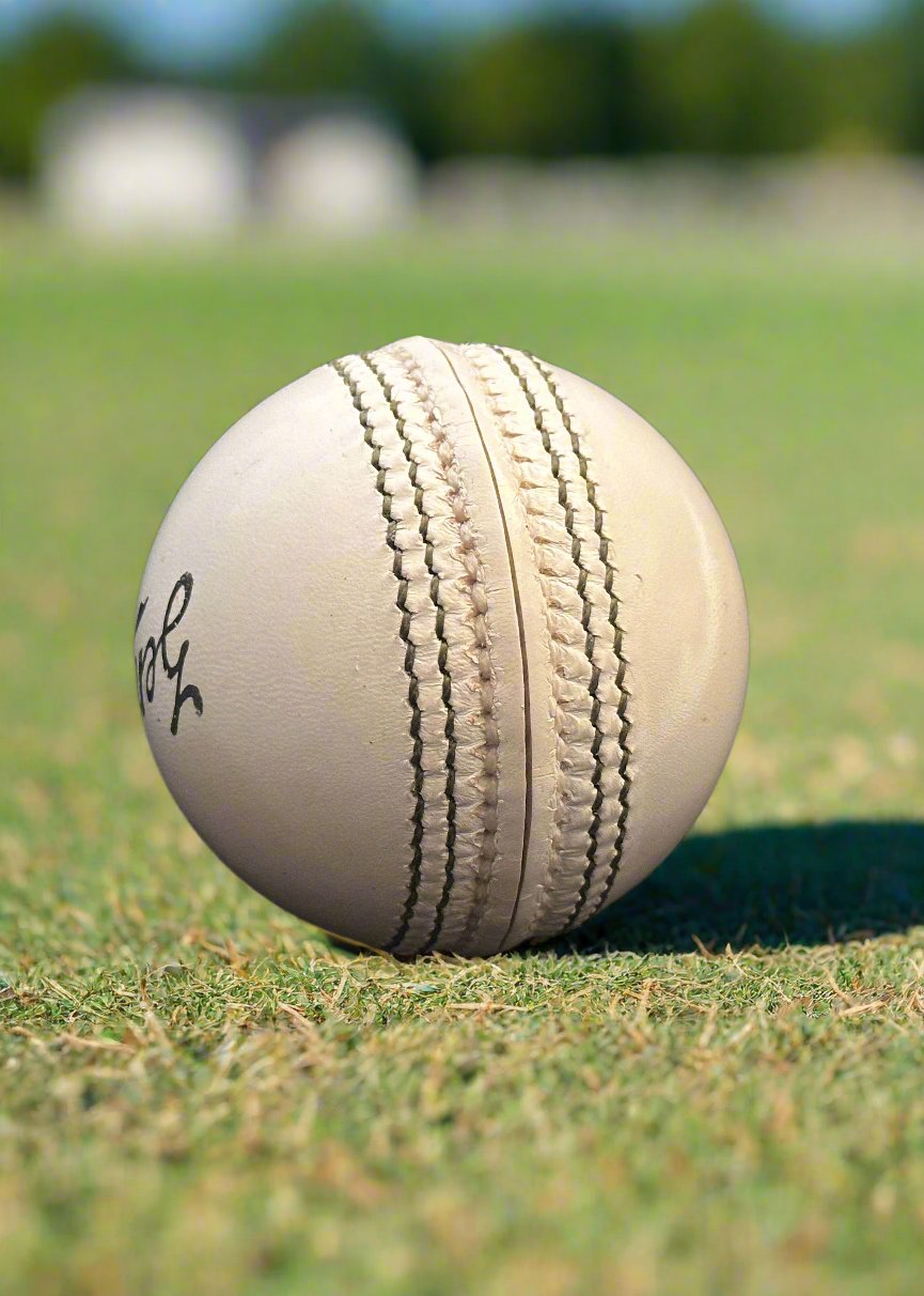 Kookaburra Zenith White 2Pc Cricket Ball