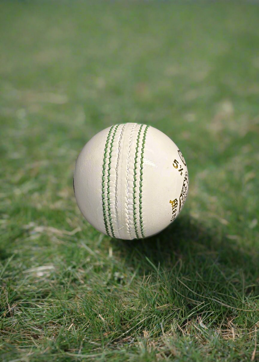 County (A grade) 2Pc Practice Ball (White)
