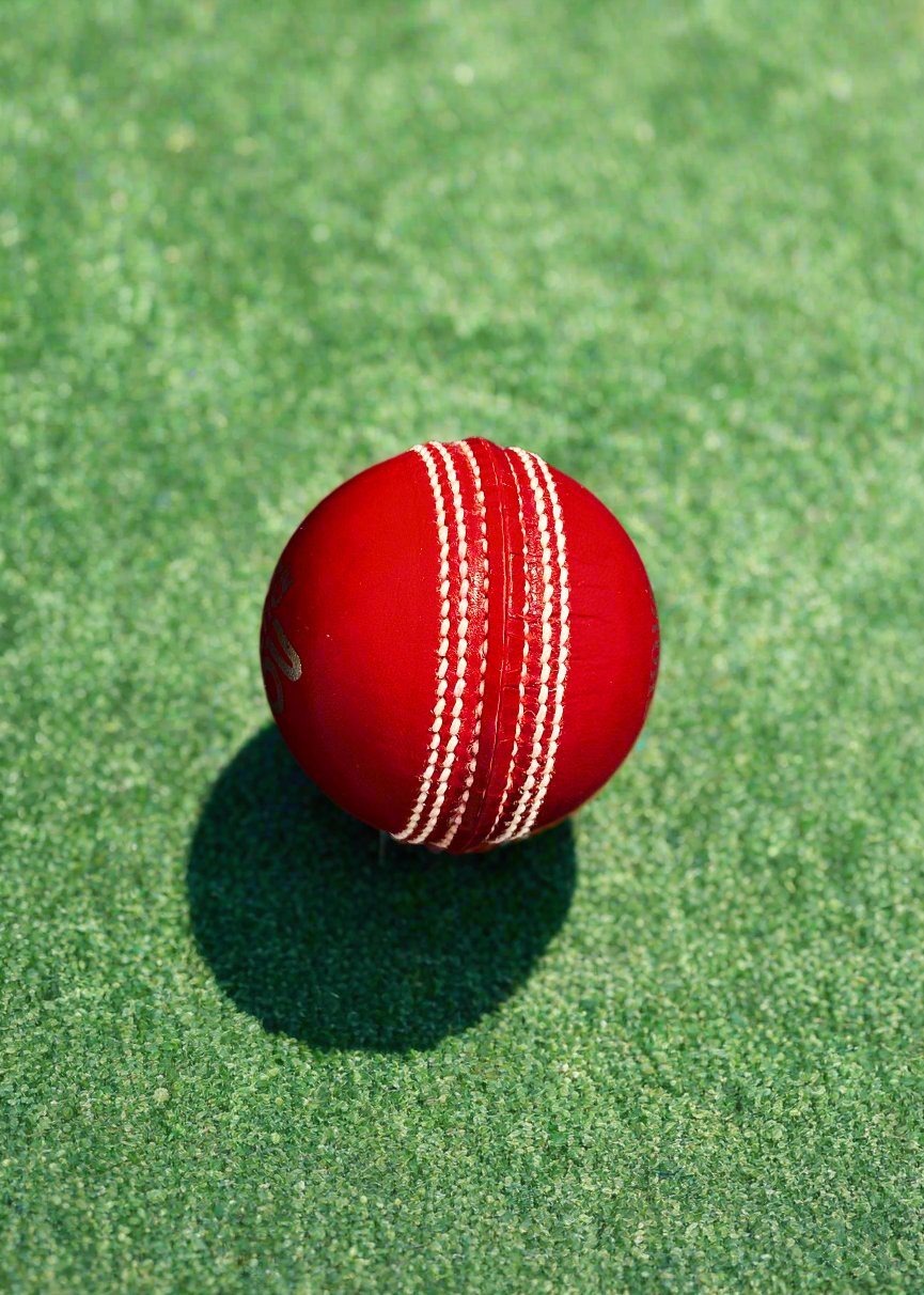 Kookaburra Practice Ball 156gms/2piece