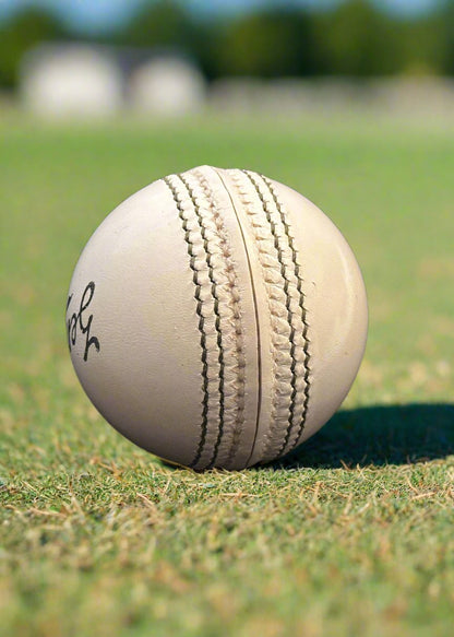 Kookaburra Zenith White 2Pc Cricket Ball
