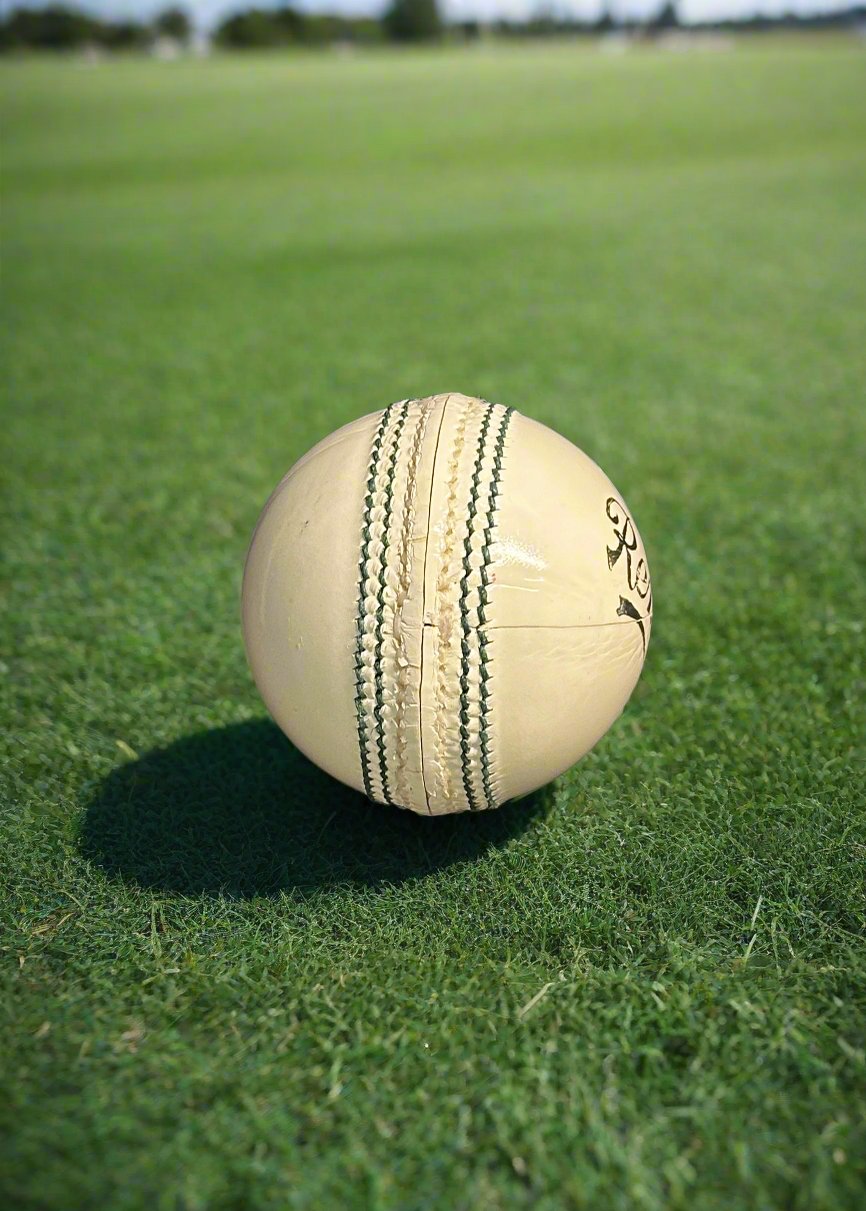 Kookaburra Renown 4Pc Practice Ball (White)
